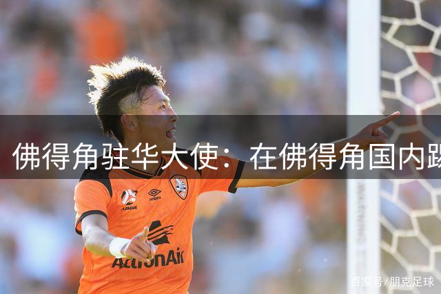 佛得角驻华大使：在佛得角国内踢球的球员，大多无法全职踢球