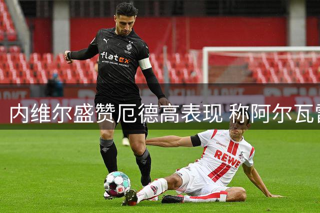 内维尔盛赞厄德高表现 称阿尔瓦雷斯加盟将助其更上层楼