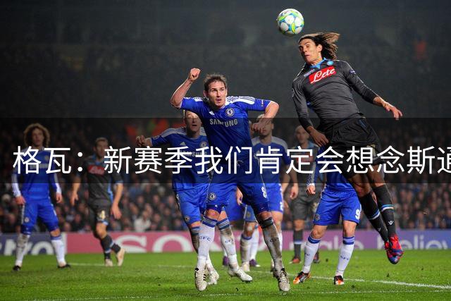 格瓦：新赛季我们肯定会想念斯通斯和B席；马雷斯卡水平很高
