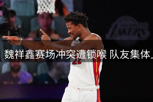 魏祥鑫赛场冲突遭锁喉 队友集体上前声援